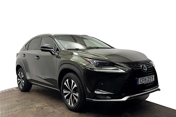 Lexus Nx300H 2020 photo 4