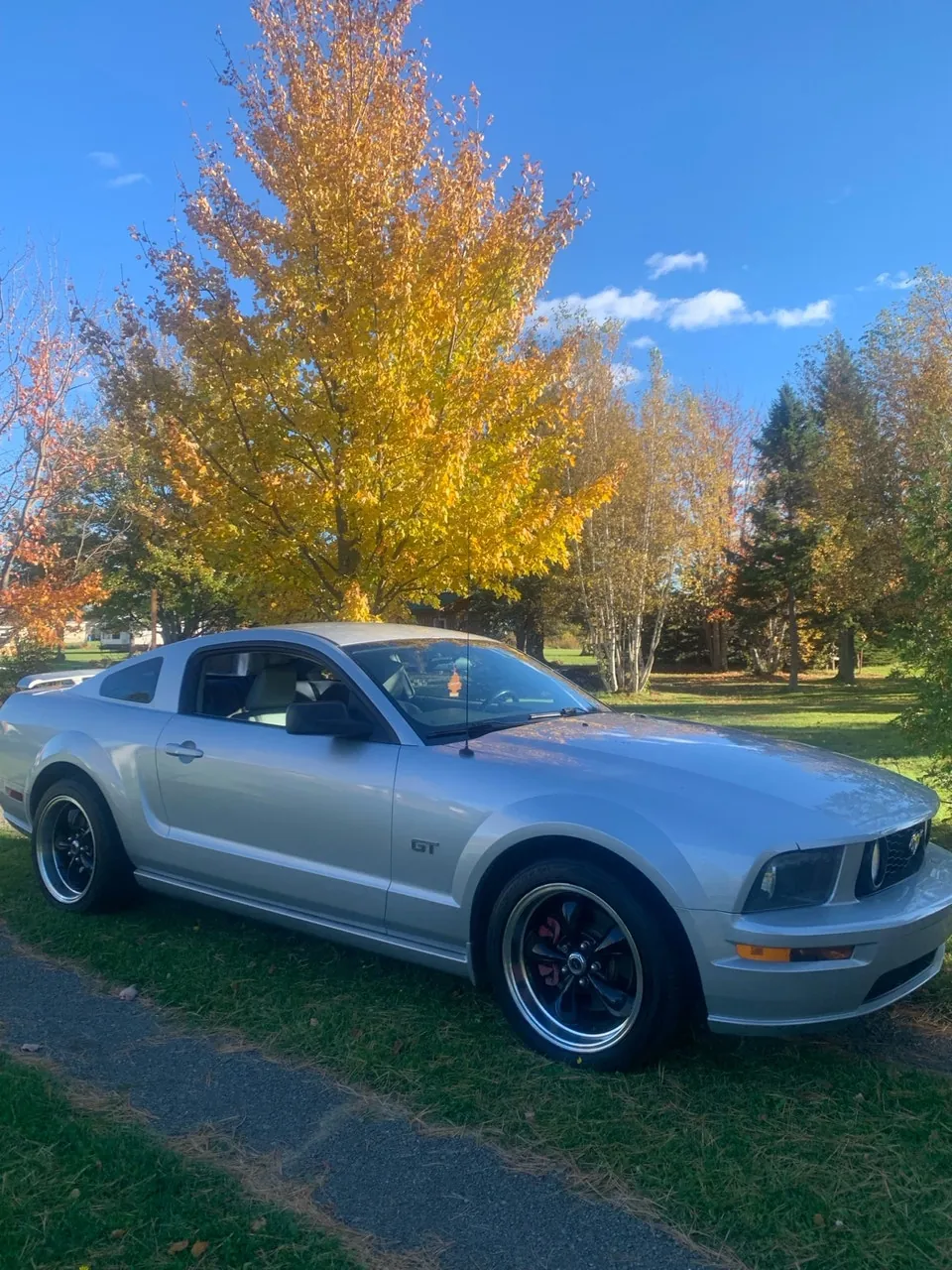 Ford Mustang 2005 photo 3