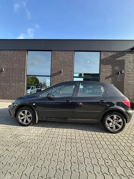 Peugeot 307 2003 photo 2