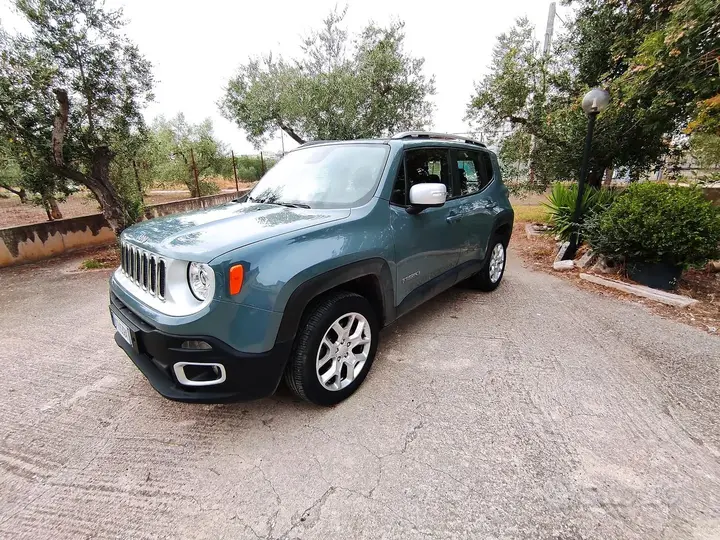 Jeep Renegade 2019 photo 2
