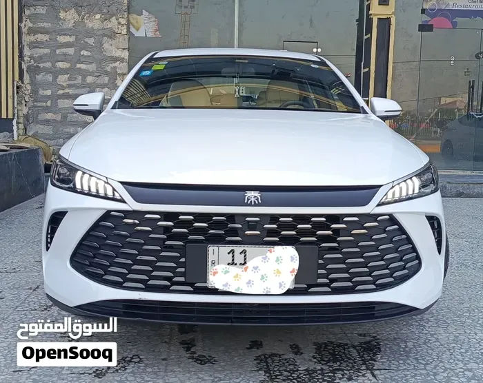BYD Qin Plus 2025 photo 2