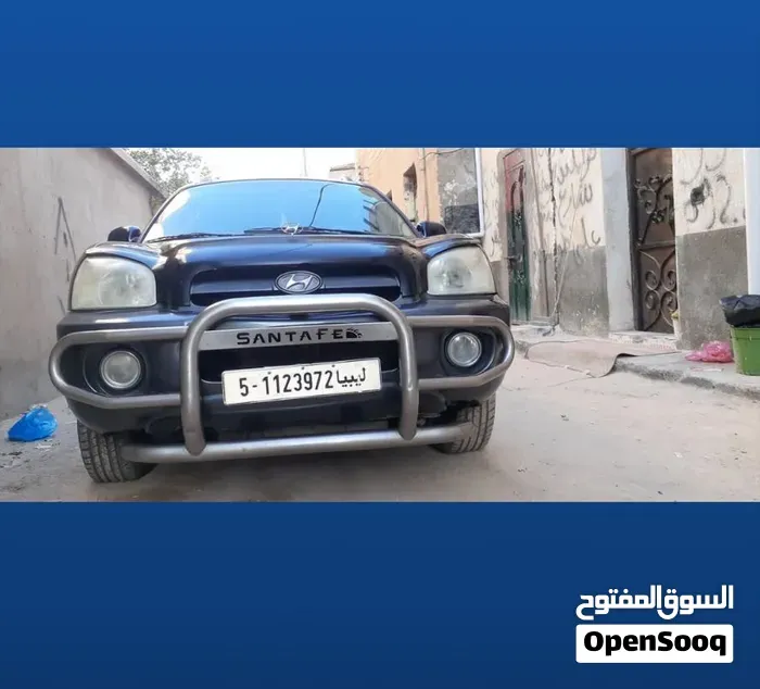 Hyundai Santa Fe 2006 photo 5