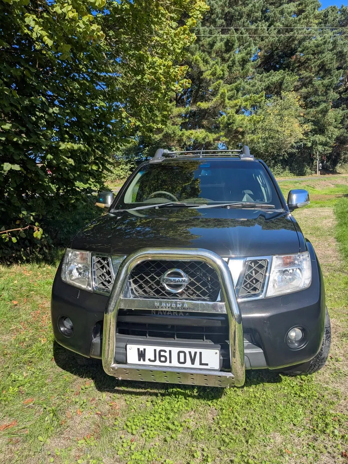 Nissan Navara 2011 photo 2
