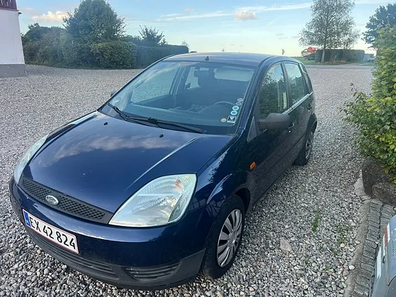 Ford Fiesta 2005 photo 3