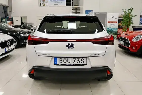 Lexus Ux250H 2020 photo 3