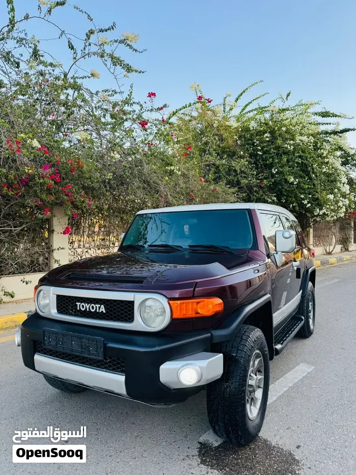 Toyota Fj 2009 photo 5
