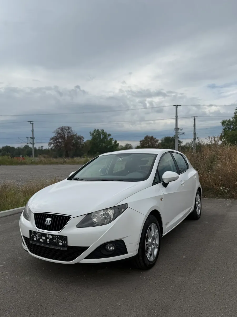 Seat Ibiza 2011 photo 2