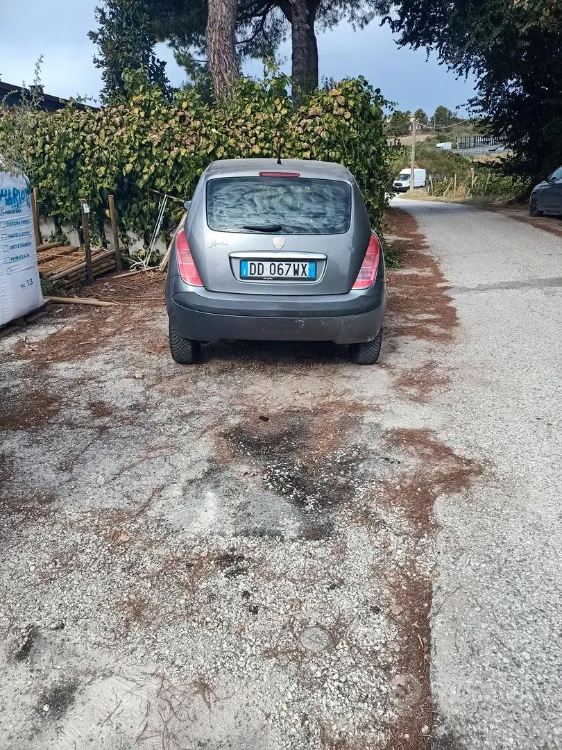Lancia Ypsilon 2006 photo 2