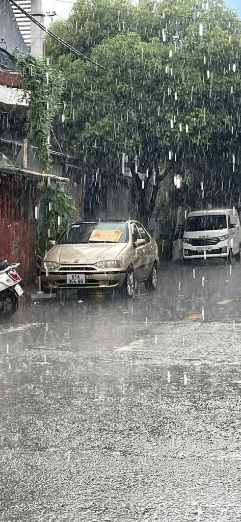 Fiat Dòng Khác