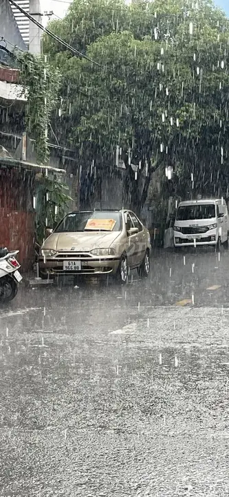 Fiat Dòng Khác