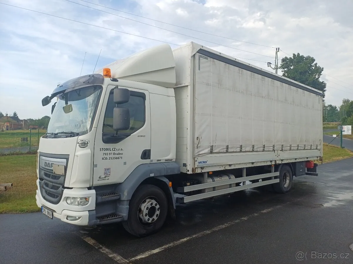 DAF Lf 290 Fa 2017 photo 2