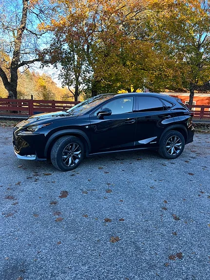 Lexus Nx300H 2017 photo 3