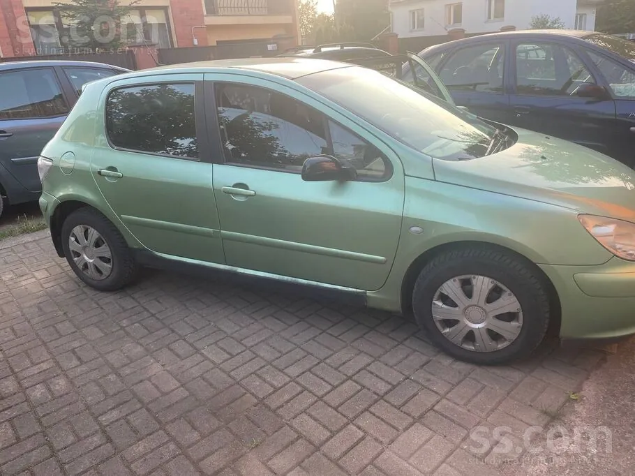 Peugeot 307 2003 photo 2