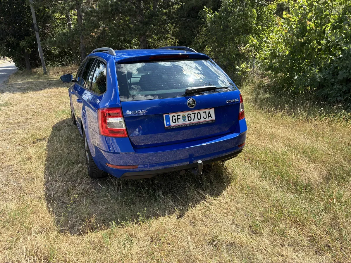 Skoda Octavia 2019 photo 2