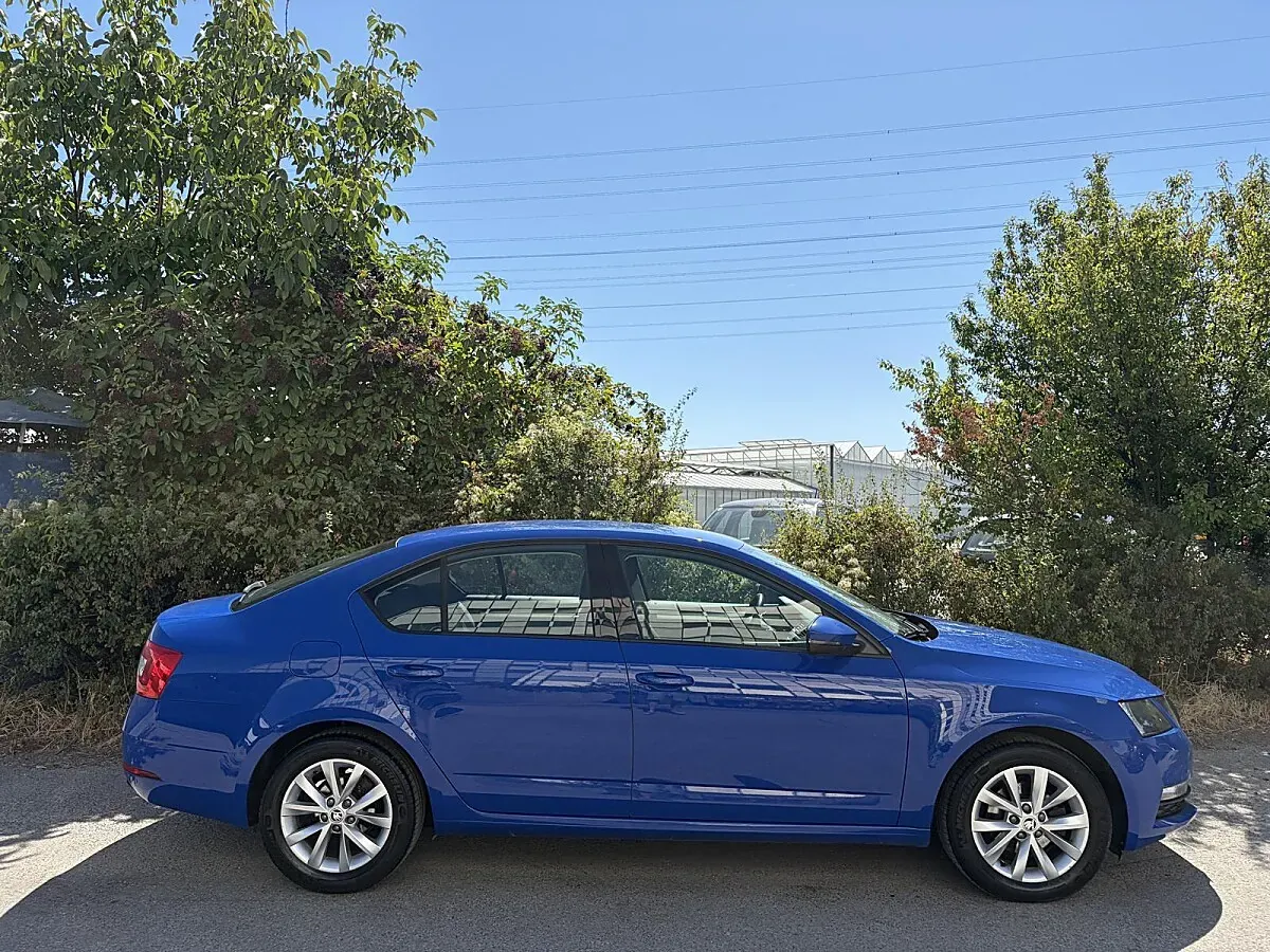 Skoda Octavia 2019 photo 2