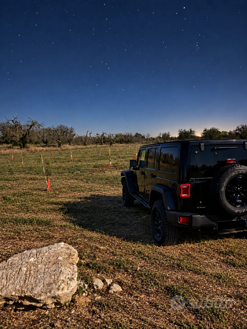 Jeep Wrangler 2013 photo 4