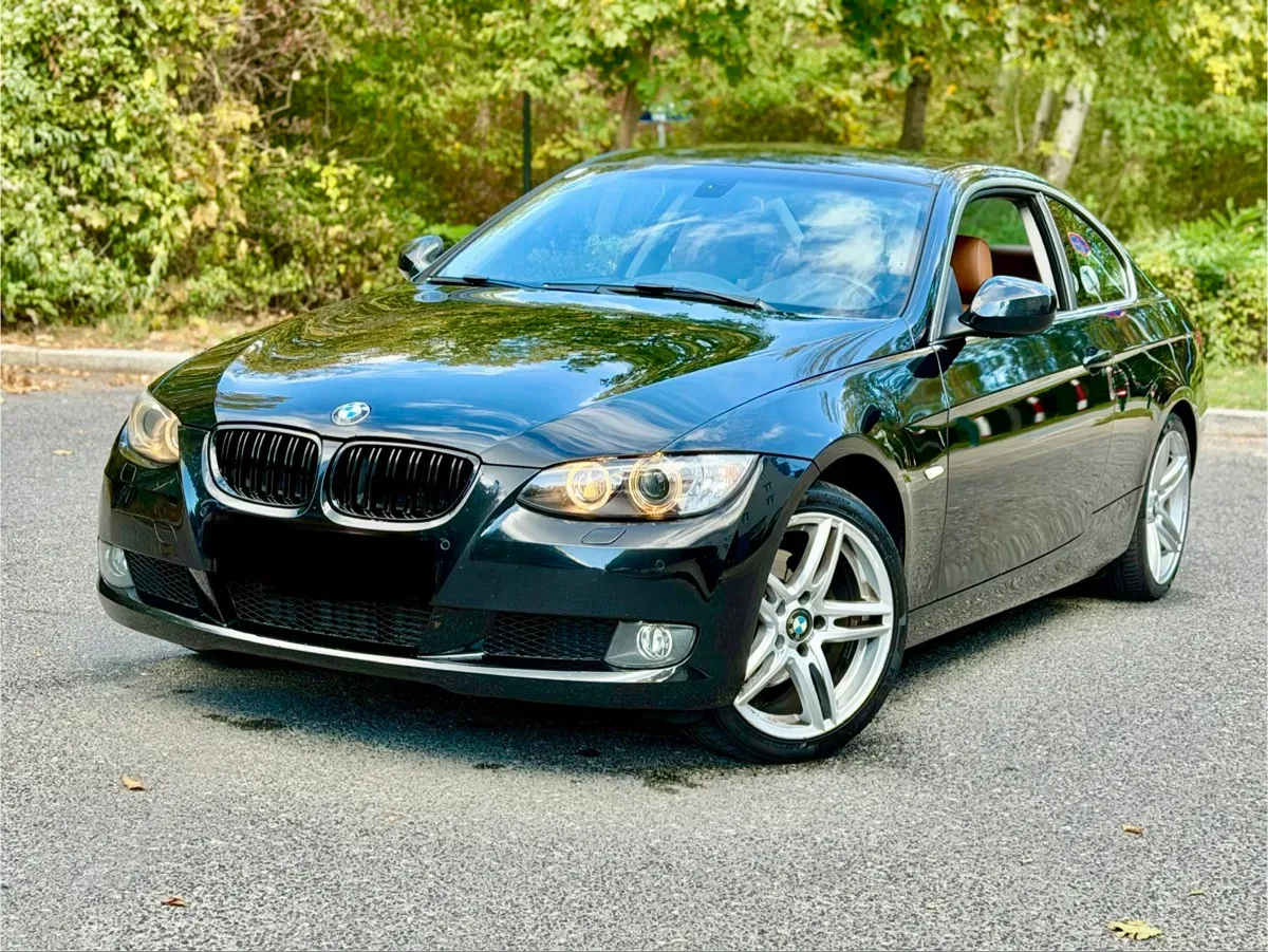 BMW 3 Series 2009 photo 2