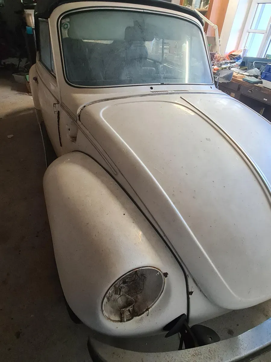 Volkswagen Beetle