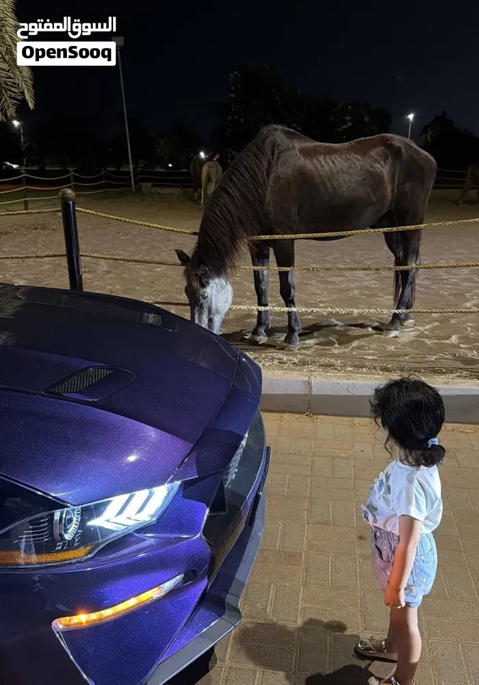 Ford Mustang 2021 photo 3
