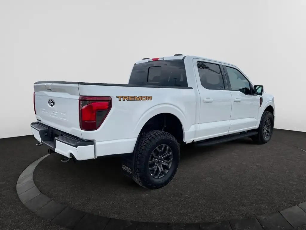 Ford F-150 2026 photo 5