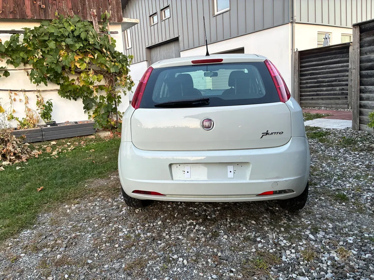 Fiat Punto 2010 photo 3