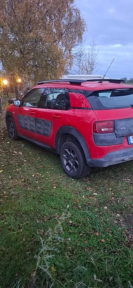 Citroen C4 Cactus 2014 photo 3