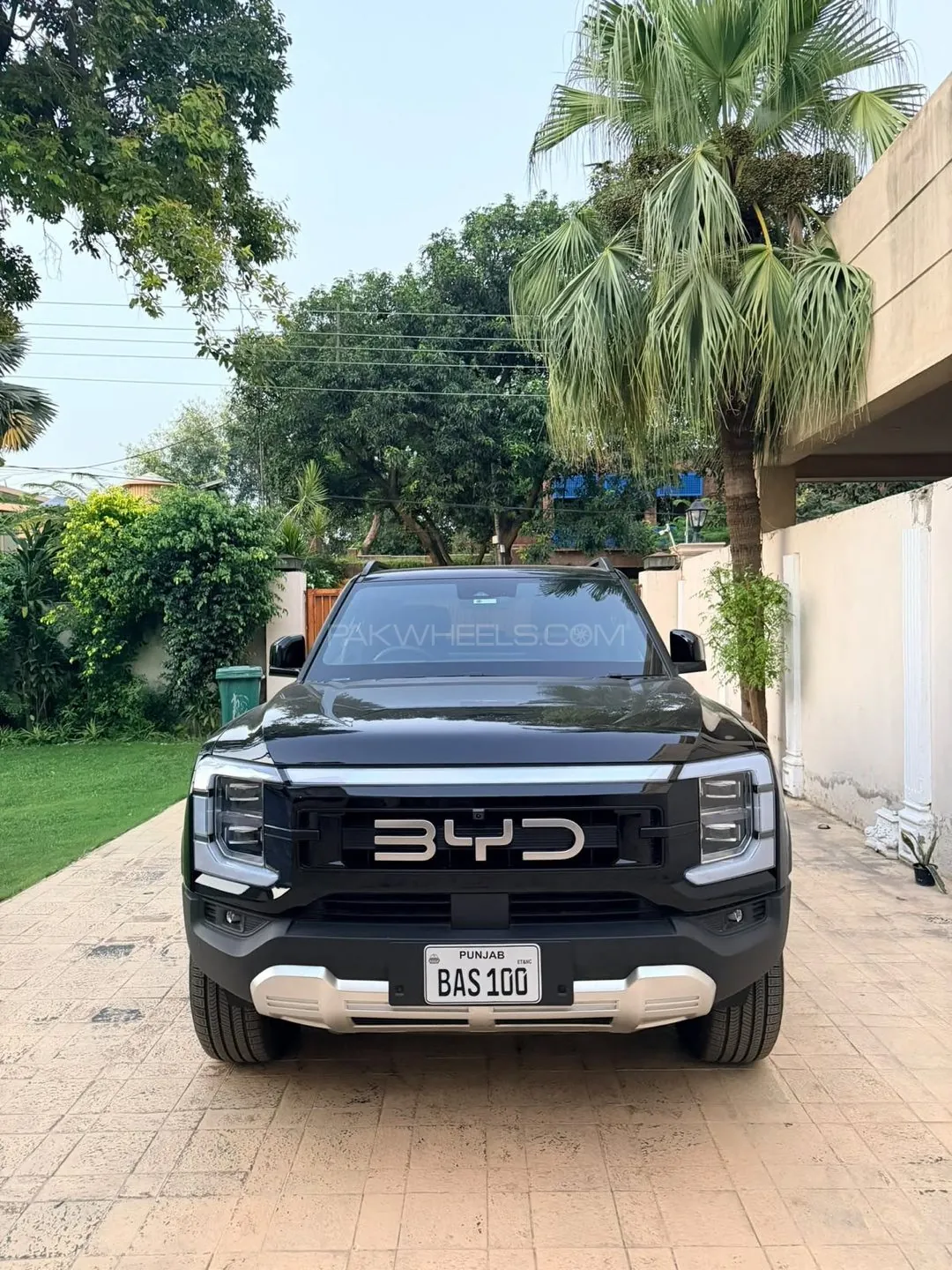 BYD Shark 6