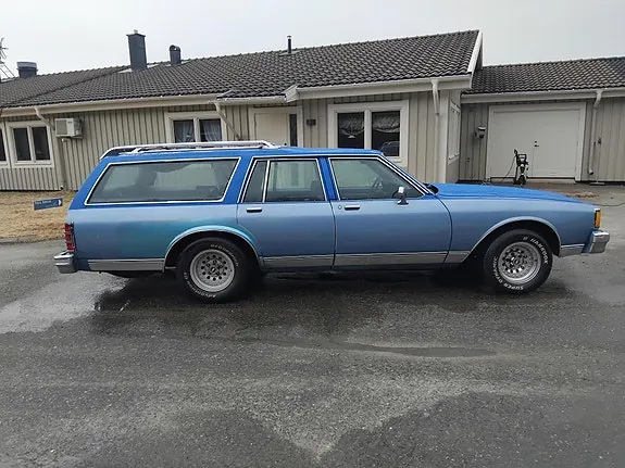 Chevrolet Caprice 1980 photo 3