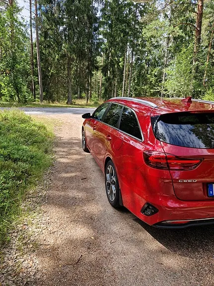 Kia Ceed 2019 photo 2