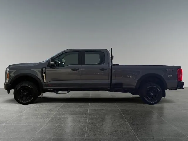 Ford Super Duty F-350 2024 photo 2