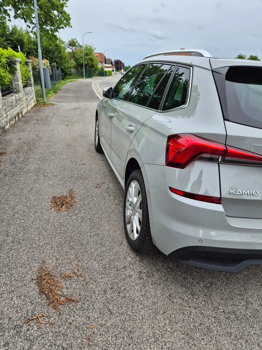 Skoda Kamiq 2020 photo 2