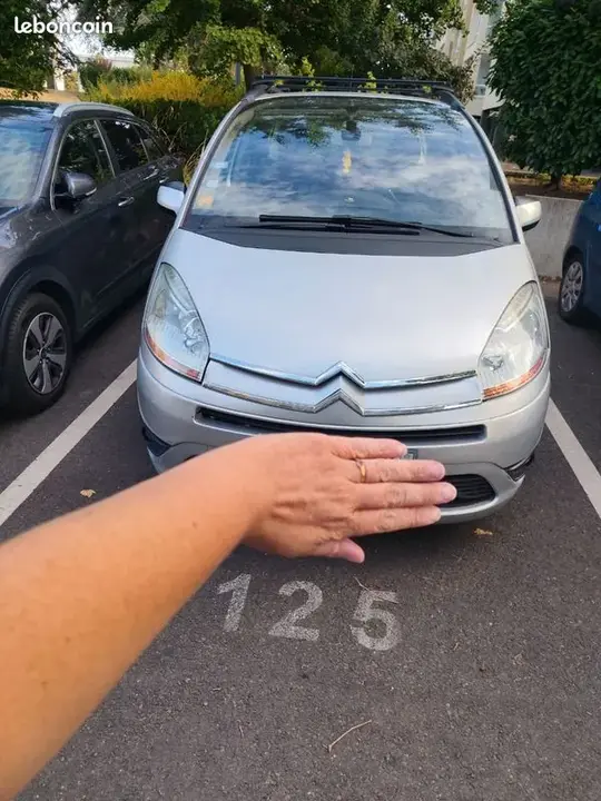 Citroen C4 Picasso 2008 photo 2