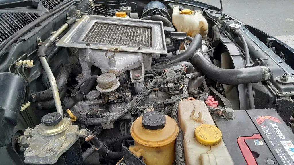 Nissan Terrano 2004 photo 3