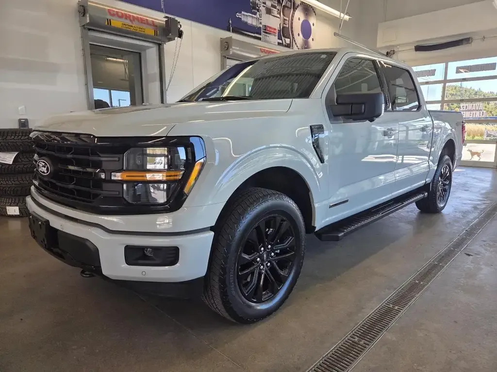 Ford F-150 2024 photo 3
