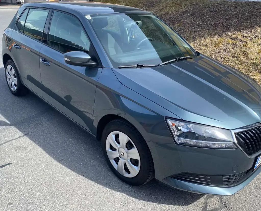 Skoda Fabia 2020 photo 2