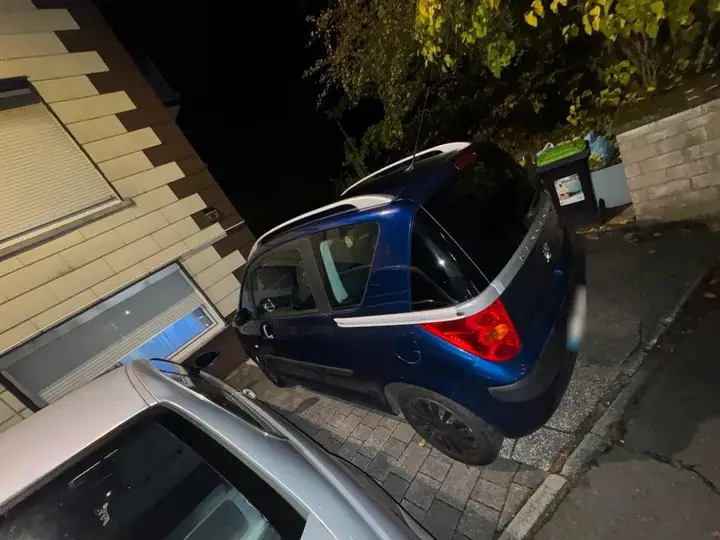 Peugeot 1007