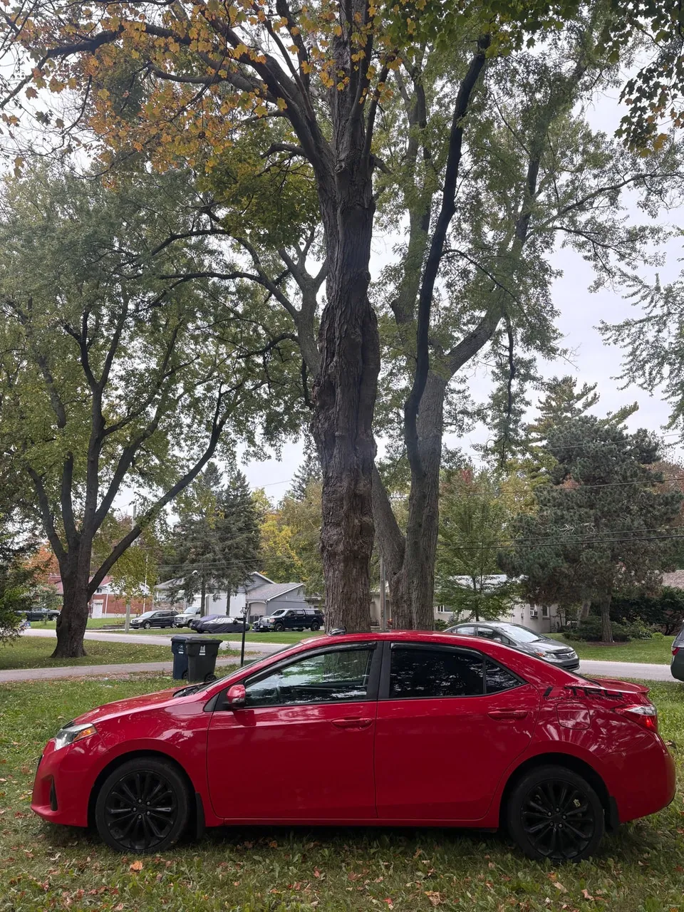 Toyota Corolla 2015 photo 4