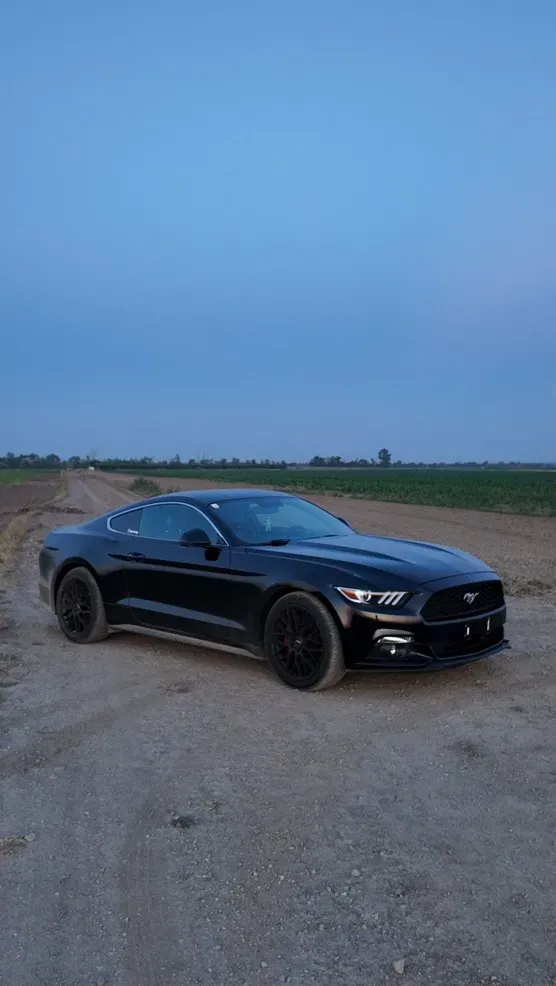 Ford Mustang 2017 photo 2