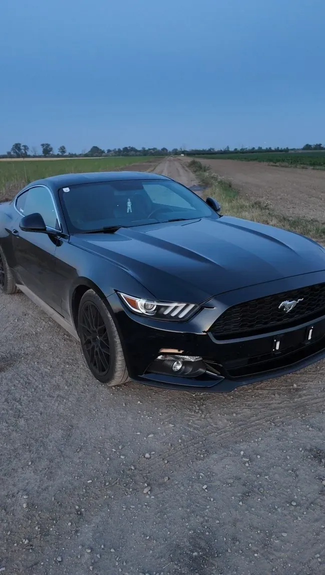 Ford Mustang 2017 photo 3