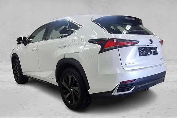 Lexus Nx300H 2020 photo 3