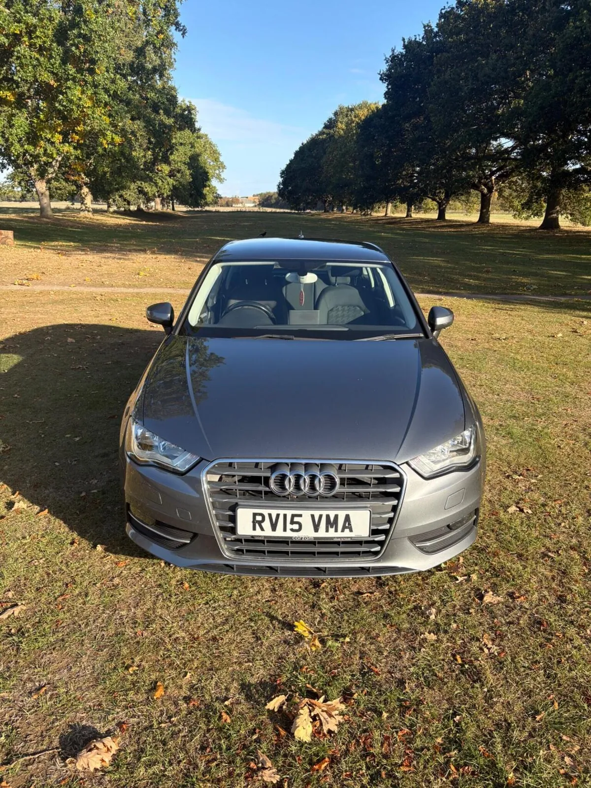 Audi A3 2015 photo 2