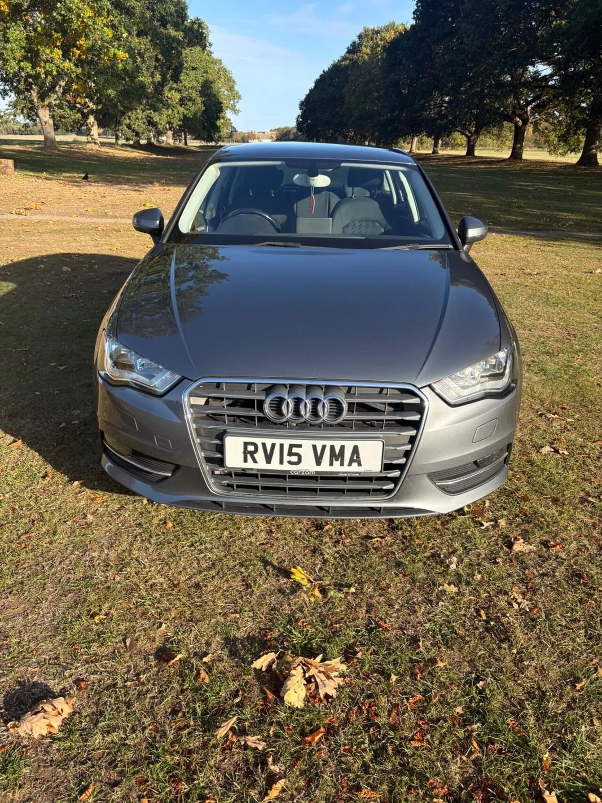 Audi A3 2015 photo 3