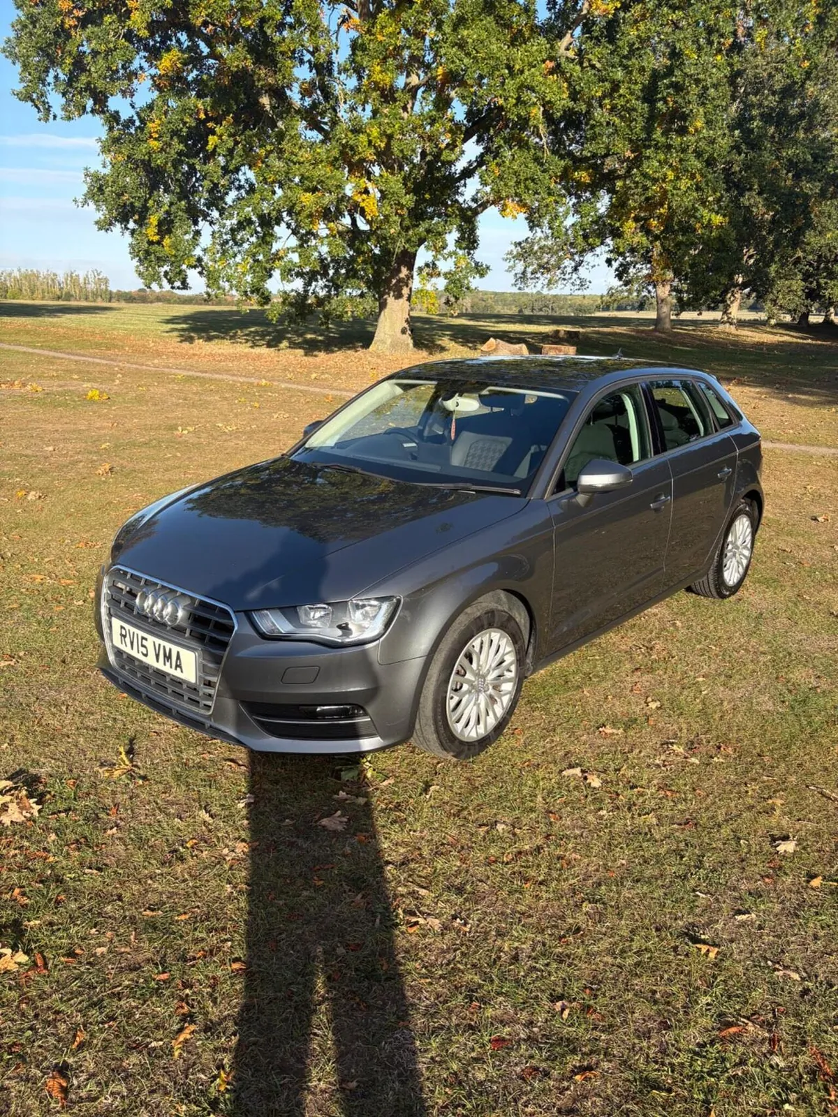 Audi A3 2015 photo 4