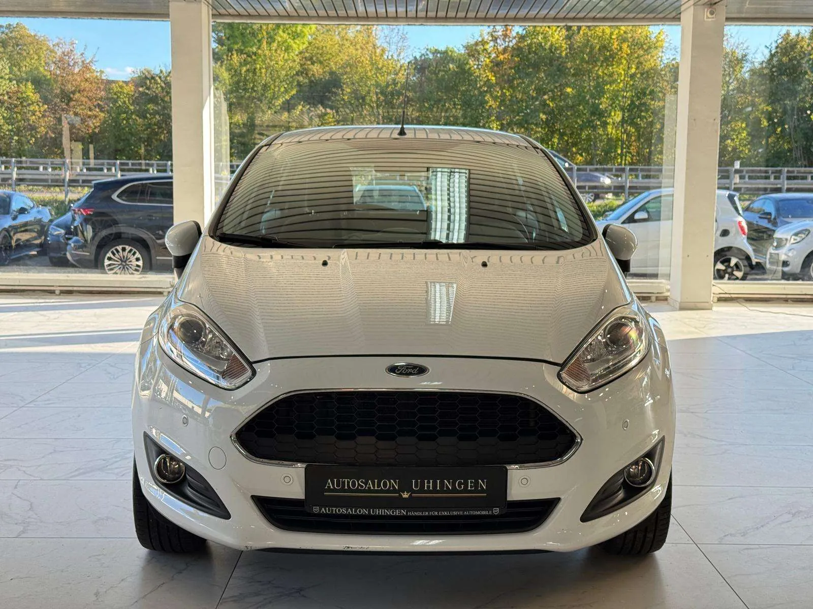 Ford Fiesta 2017 photo 2