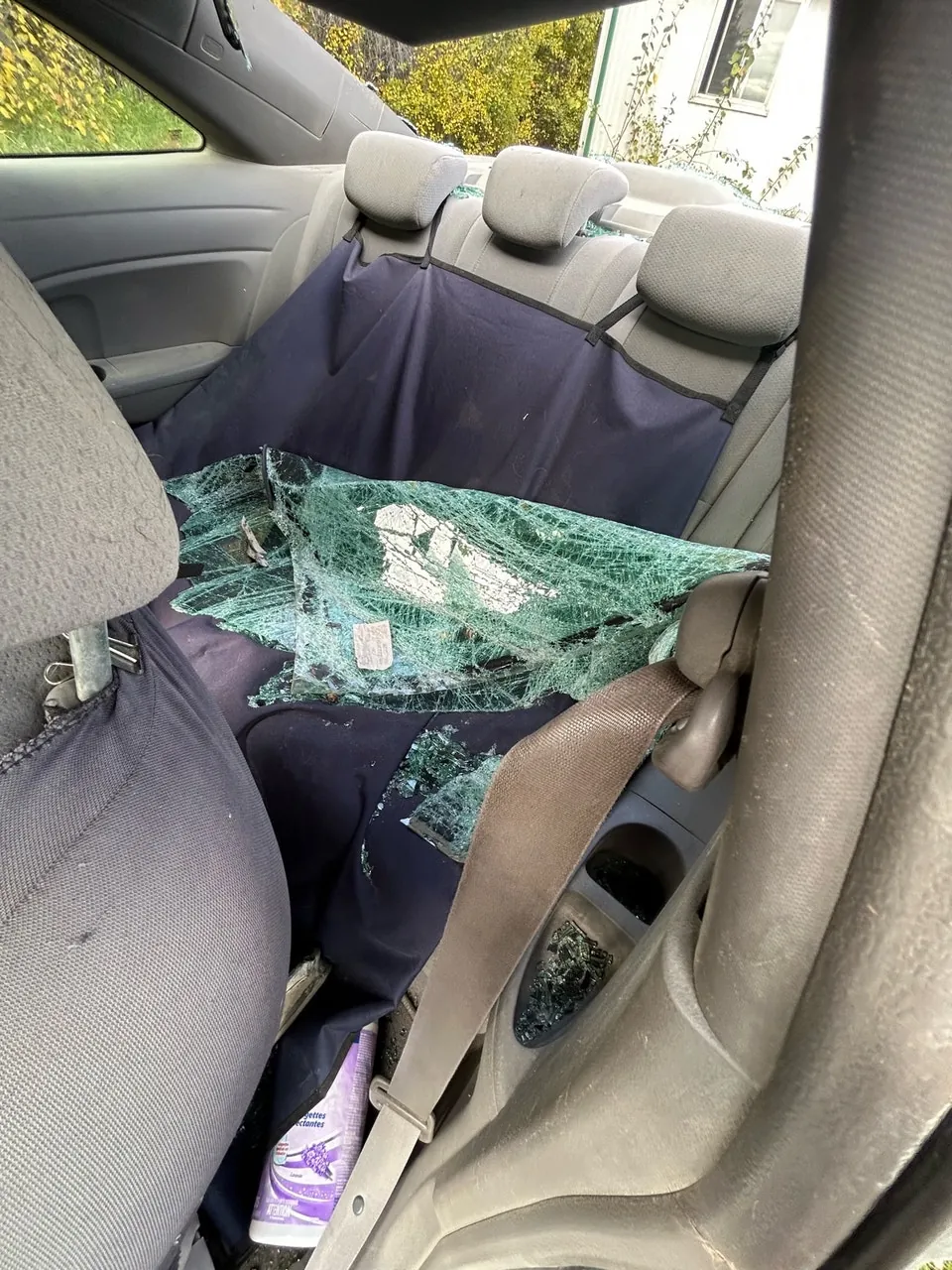 Honda Civic 2006 photo 4