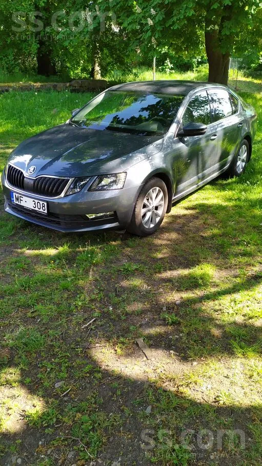 Skoda Octavia 2019 photo 2