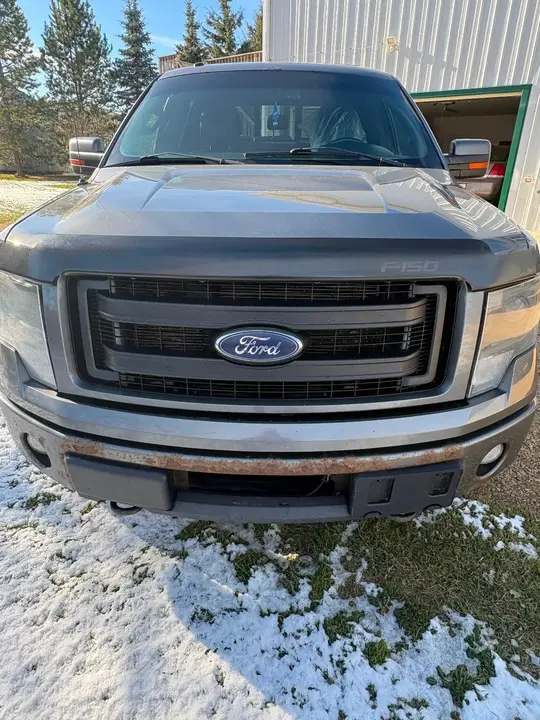 Ford F-150 2013 photo 3