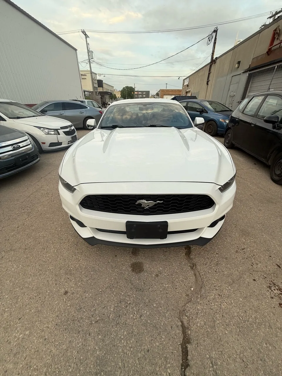 Ford Mustang 2015 photo 2