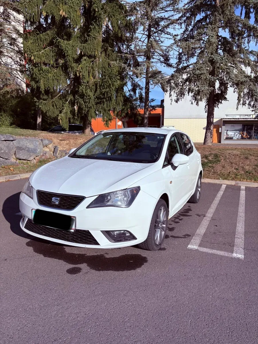Seat Ibiza 2014 photo 2