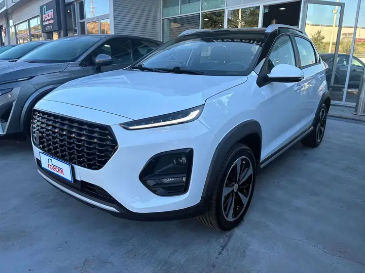 DR Automobiles Dr 3.0